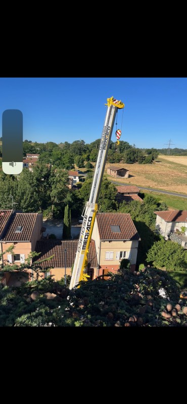 Abattre un arbre en milieu urbain avec une grue pour une intervention maîtrisée et sans risque à Cugnaux près de Plaisance du Touch en Haute-Garonne