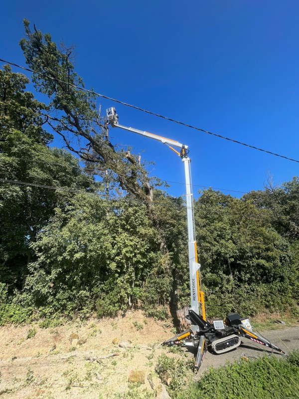 Travaux avec nacelle araignée à Saint Simon proche de Muret 31600, Élagage d’arbre avec accès difficile 